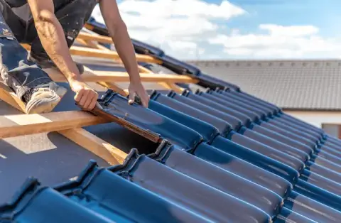 Couverture - Malicorne